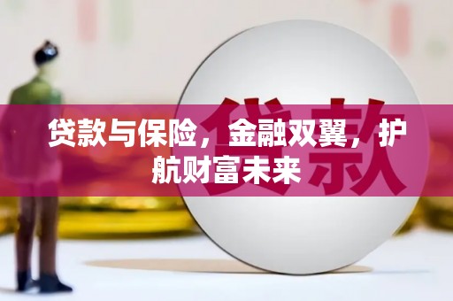 二仑贷款与保险，金融双翼，护航财富未来