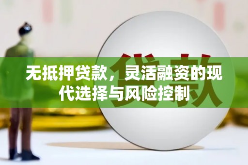 二仑无抵押贷款，灵活融资的现代选择与风险控制