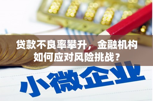二仑贷款不良率攀升，金融机构如何应对风险挑战？