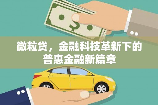 二仑微粒贷，金融科技革新下的普惠金融新篇章