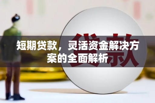 二仑短期贷款，灵活资金解决方案的全面解析