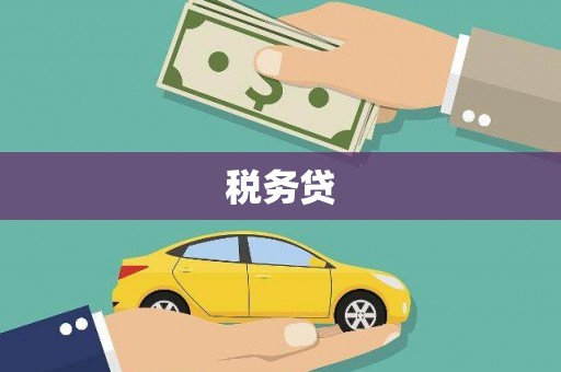 二仑税务贷