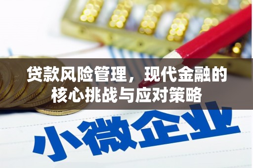 二仑贷款风险管理，现代金融的核心挑战与应对策略