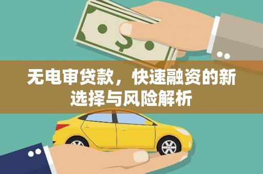 二仑无电审贷款，快速融资的新选择与风险解析