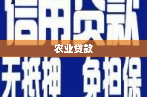 二仑农业贷款