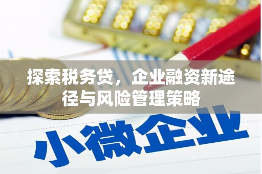 二仑探索税务贷，企业融资新途径与风险管理策略