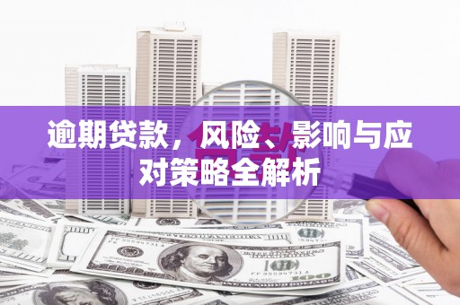 二仑逾期贷款，风险、影响与应对策略全解析