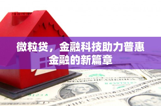二仑微粒贷，金融科技助力普惠金融的新篇章