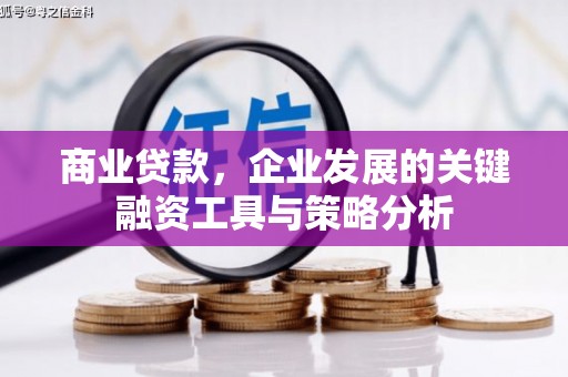 二仑商业贷款，企业发展的关键融资工具与策略分析