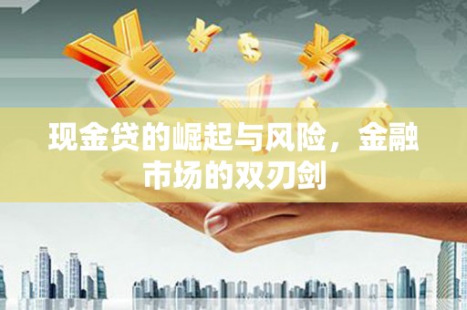 二仑现金贷的崛起与风险，金融市场的双刃剑