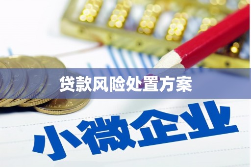 二仑贷款风险处置方案