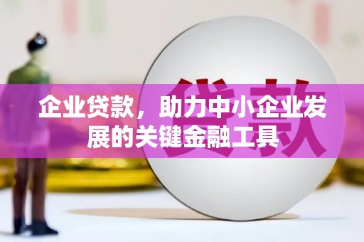 二仑企业贷款，助力中小企业发展的关键金融工具