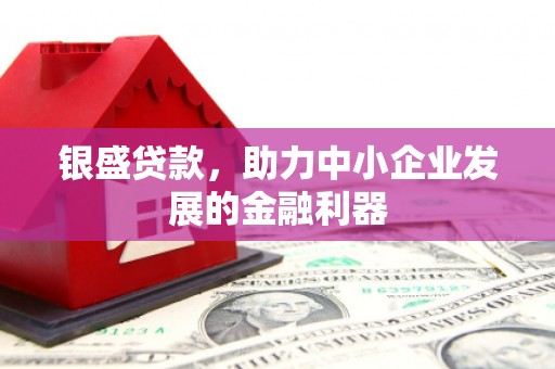 二仑银盛贷款，助力中小企业发展的金融利器