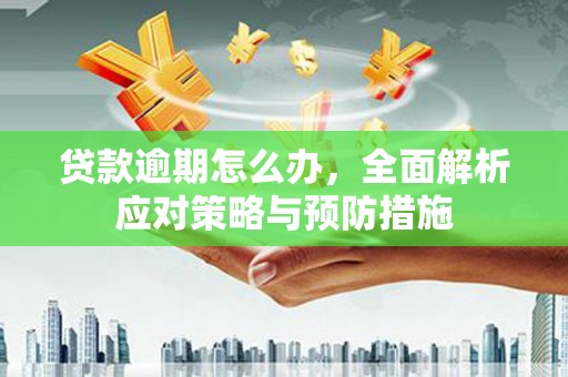 二仑贷款逾期怎么办，全面解析应对策略与预防措施