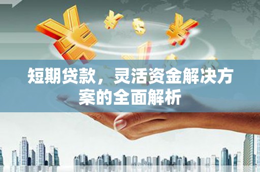 二仑短期贷款，灵活资金解决方案的全面解析