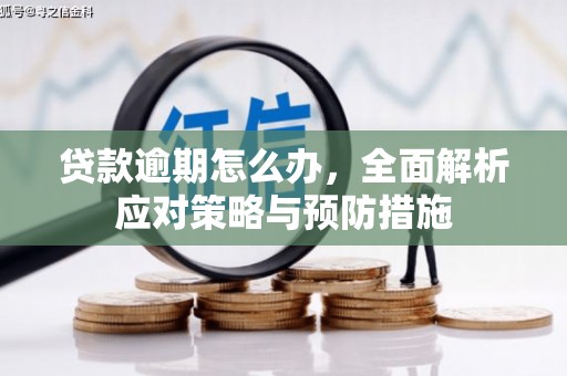 二仑贷款逾期怎么办，全面解析应对策略与预防措施