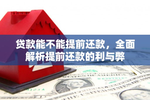 二仑贷款能不能提前还款，全面解析提前还款的利与弊
