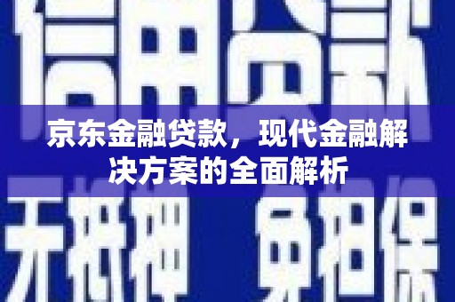 二仑京东金融贷款，现代金融解决方案的全面解析