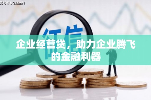 二仑企业经营贷，助力企业腾飞的金融利器