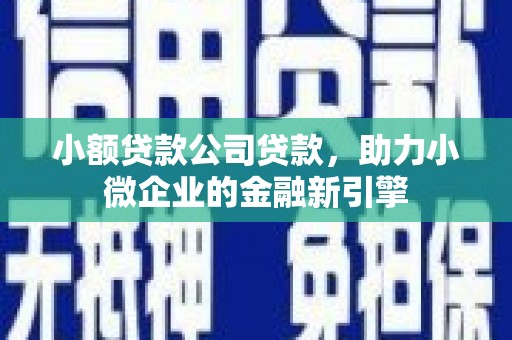 二仑小额贷款公司贷款，助力小微企业的金融新引擎