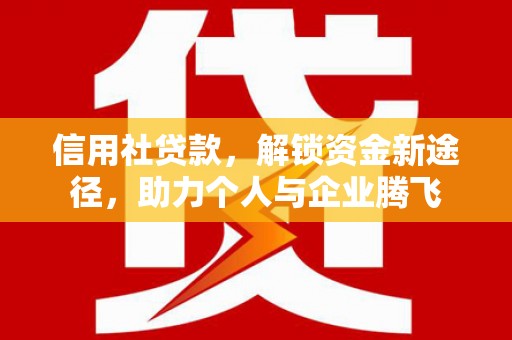 二仑信用社贷款，解锁资金新途径，助力个人与企业腾飞