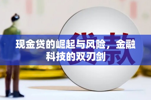 二仑现金贷的崛起与风险，金融科技的双刃剑