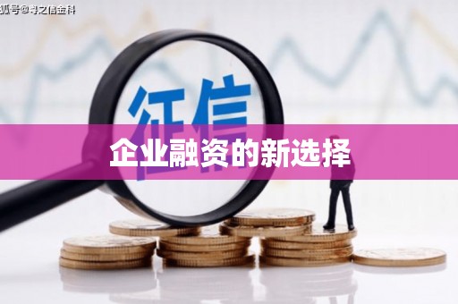 二仑企业融资的新选择