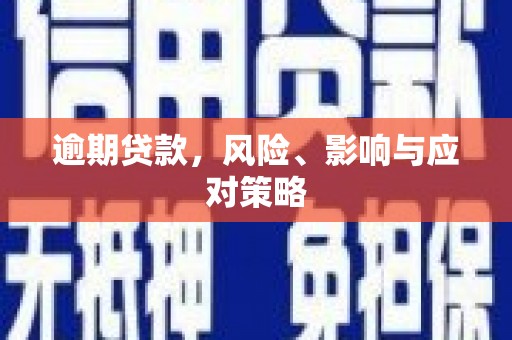 二仑逾期贷款，风险、影响与应对策略