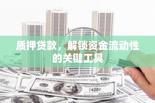 二仑质押贷款，解锁资金流动性的关键工具