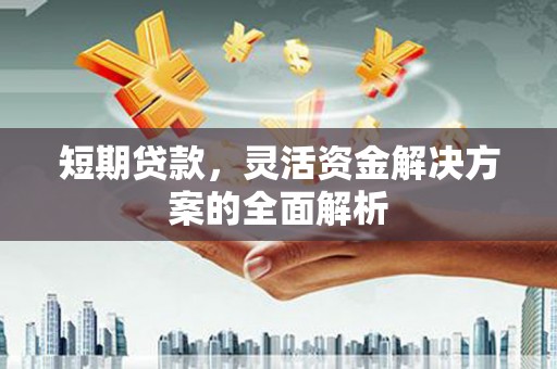 二仑短期贷款，灵活资金解决方案的全面解析
