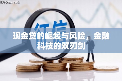 二仑现金贷的崛起与风险，金融科技的双刃剑