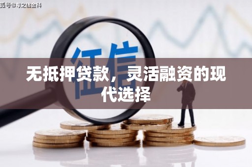 二仑无抵押贷款，灵活融资的现代选择