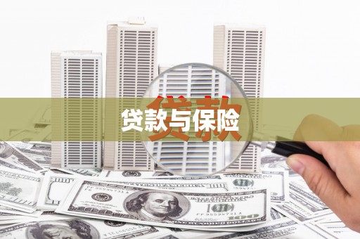 二仑贷款与保险