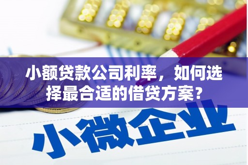 二仑小额贷款公司利率，如何选择最合适的借贷方案？