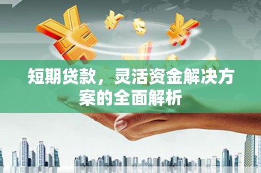 二仑短期贷款，灵活资金解决方案的全面解析