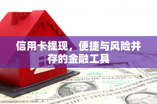 二仑信用卡提现，便捷与风险并存的金融工具