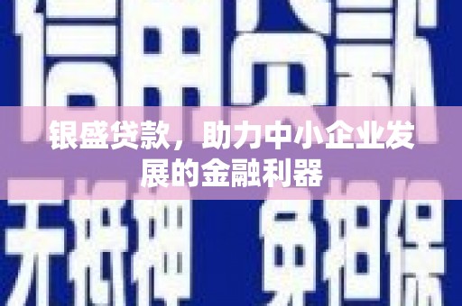 二仑银盛贷款，助力中小企业发展的金融利器
