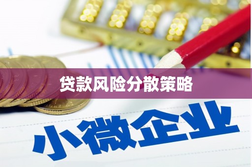 二仑贷款风险分散策略