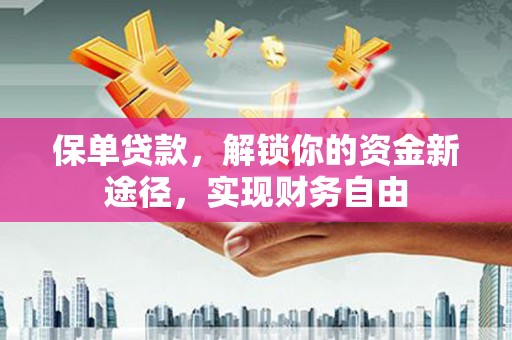 二仑保单贷款，解锁你的资金新途径，实现财务自由