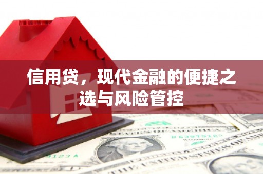 二仑信用贷，现代金融的便捷之选与风险管控