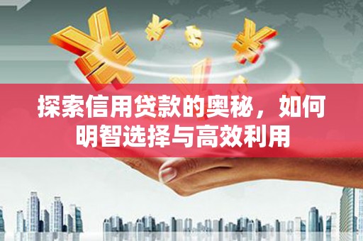 二仑探索信用贷款的奥秘，如何明智选择与高效利用