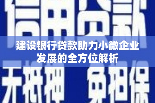 二仑建设银行贷款助力小微企业发展的全方位解析