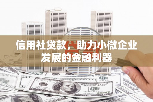 二仑信用社贷款，助力小微企业发展的金融利器