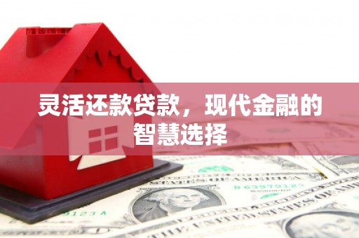 二仑灵活还款贷款，现代金融的智慧选择