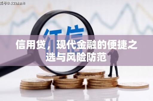 二仑信用贷，现代金融的便捷之选与风险防范