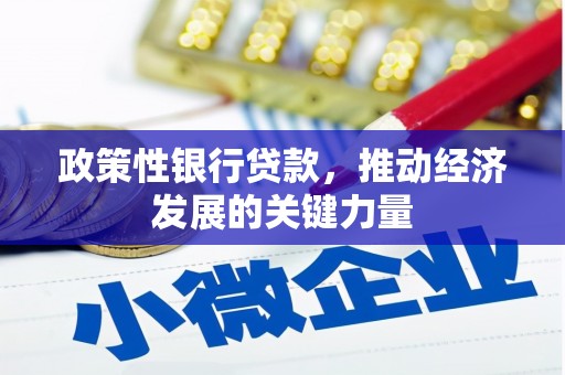 二仑政策性银行贷款，推动经济发展的关键力量