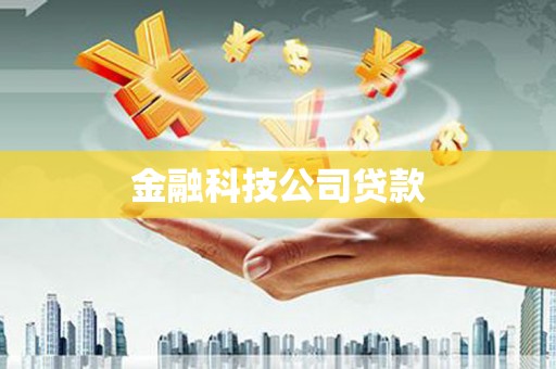二仑金融科技公司贷款