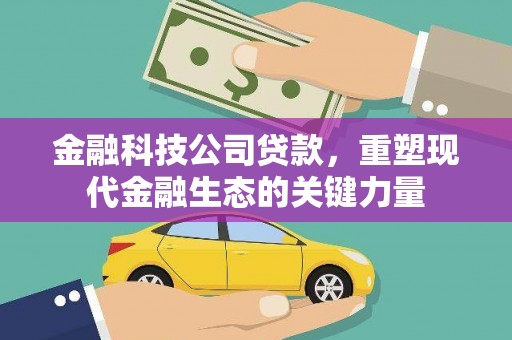 二仑金融科技公司贷款，重塑现代金融生态的关键力量