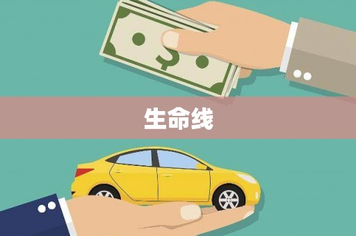 二仑生命线