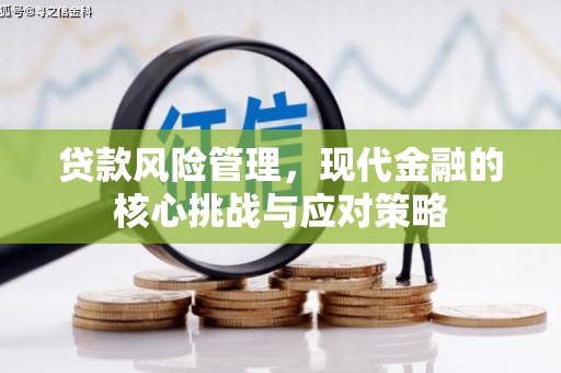 二仑贷款风险管理，现代金融的核心挑战与应对策略